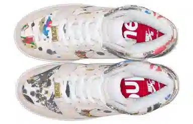 Supreme x Nike Dunk SB "Rammellzee"
