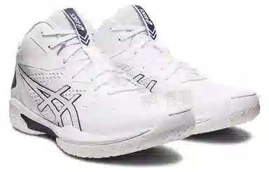 Asics Gel-Hoop V15