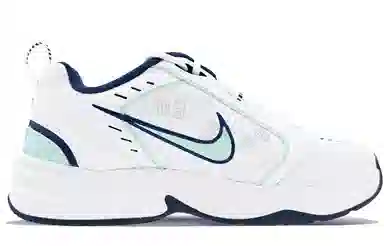 Nike Air Monarch 4