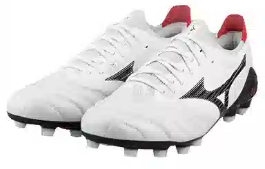 Mizuno