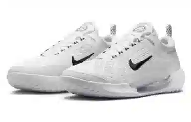 Nike Court Zoom NXT HC