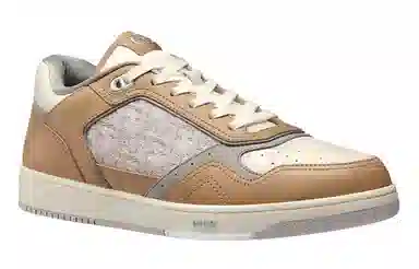 DIOR B27 Oblique