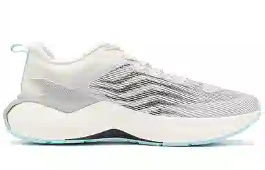 5.0 Pro