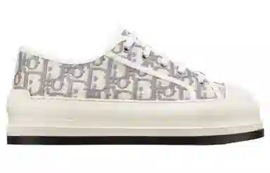 DIOR Walk'n'Dior Oblique