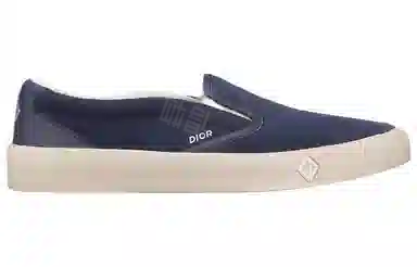 DIOR B101