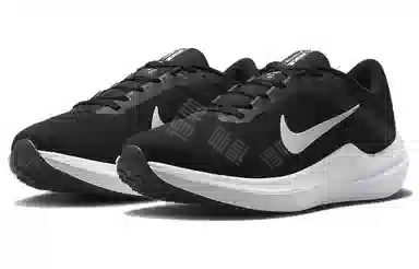 Nike Air Winflo 10