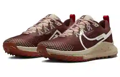Nike Pegasus Trail 4 Brown