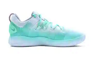 Nike Hyperdunk X Low 10