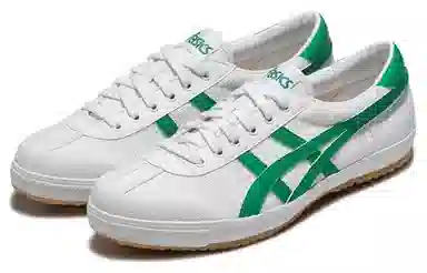Asics TSG-110