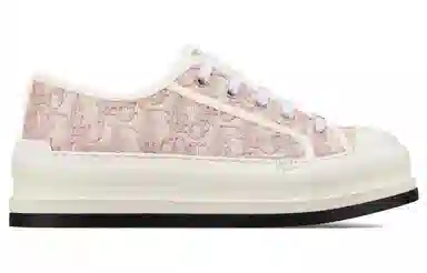 DIOR Walk'n'Dior Oblique