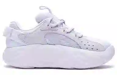 Champion Retro Sports