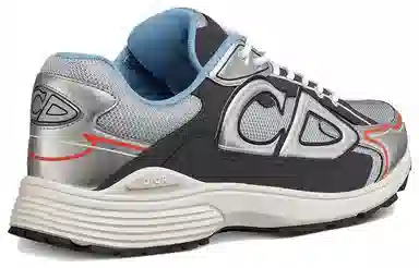 Dior B30 Grey Silver