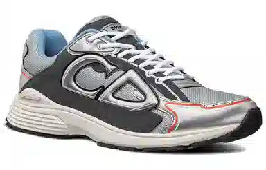 Dior B30 Grey Silver