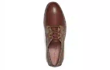 COACH Hybrid