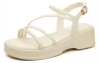DAPHNE PU 5cm