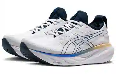 Asics GEL-Nimbus 25