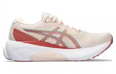 Asics Gel-Kayano 30
