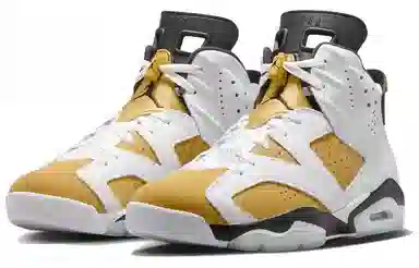 Jordan Air Jordan 6 "Yellow Ochre"