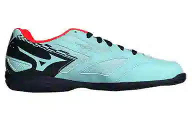 Mizuno