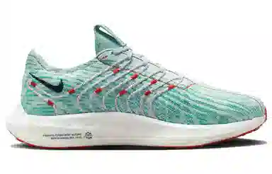 Nike Pegasus Turbo 1