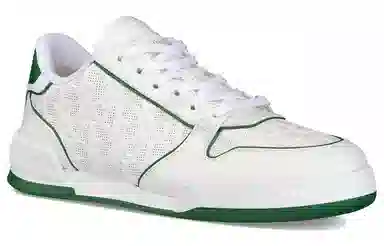 DIOR One Oblique