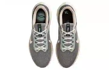 Nike Air Winflo 10 Grey