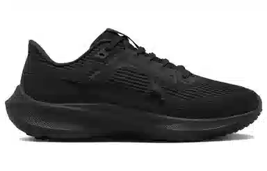 Nike Air Zoom Pegasus 40 Black