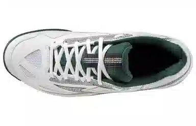 Mizuno