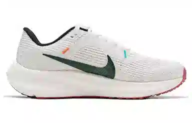 Nike Air Zoom Pegasus 40 White