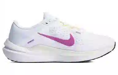 Nike Air Winflo 10 White Purple