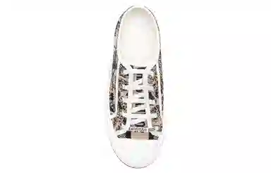 DIOR Walk'n'Dior