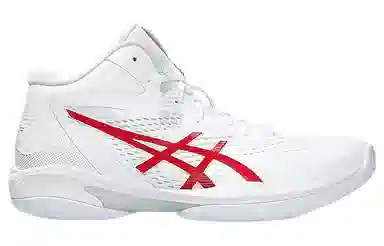 Asics Gel-Hoop V15