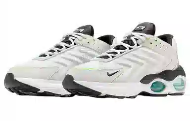 Nike Air Max TW