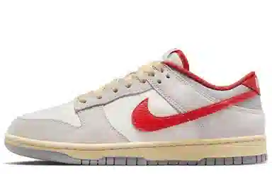 Nike Dunk Low Roaming Plan