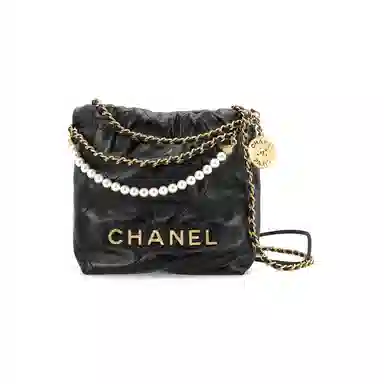 CHANEL 22 Bag