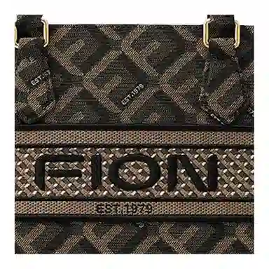 FION logo