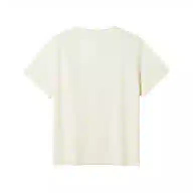 Hotwind T