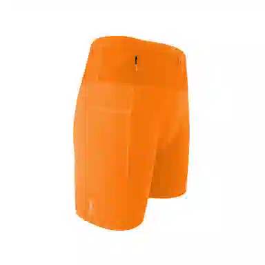 FLIPBELT