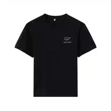 mula 2025t T