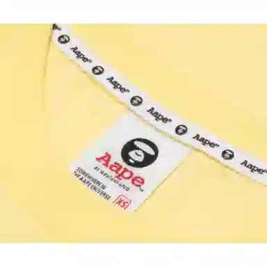 Aape T