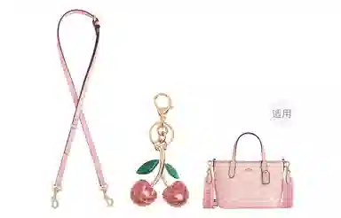 GUYI COACH city15 Totemini