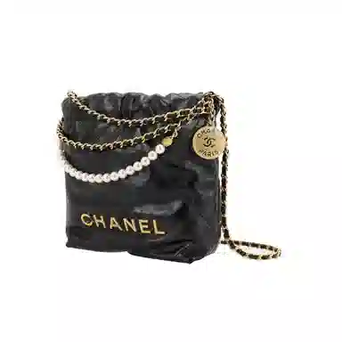 CHANEL 22 Bag