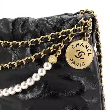 CHANEL 22 Bag