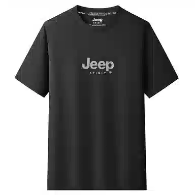 JEEP SPIRIT T