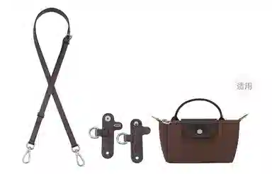 Longchamp Mini Crossbody