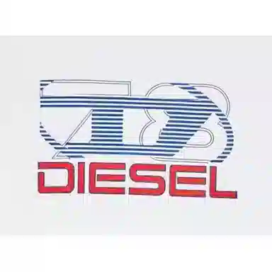 DIESEL OVAL-D SS24 Tee White