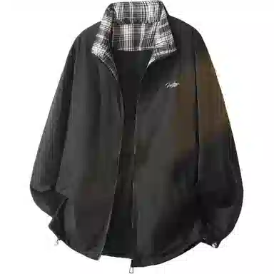 INS