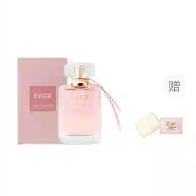 SACO EDP
