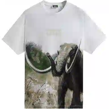 KITH x AMNH T