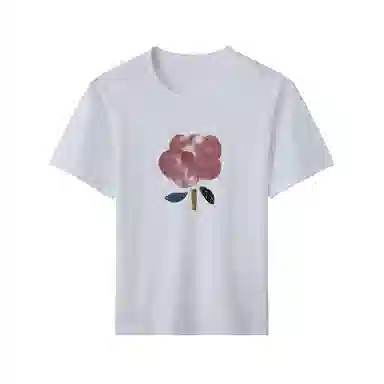 mula T